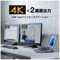 Type-Cドッキングステーション Type-CVDK14_選択画像02