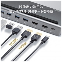 Type-Cドッキングステーション Type-CVDK14_選択画像03
