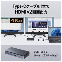 Type-Cドッキングステーション Type-CVDK15_選択画像02