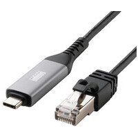 Type-C LAN変換ケーブル2m KB-SL6CLAN02BK