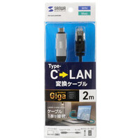 Type-C LAN変換ケーブル2m KB-SL6CLAN02BK_選択画像02