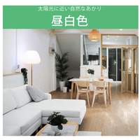 直管LED 40形グロー方式 昼白色 1本_選択画像04