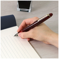 プロフィットLGT万年筆CRDEF11-0820-130_選択画像04