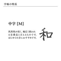 プロフィット14 GD 万年筆 ブルー M_選択画像04