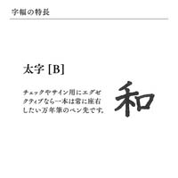 プロフィット14 GD 万年筆 ブルー B_選択画像04