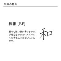 プロフィット18 GD 万年筆 Sレッド EF_選択画像03