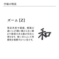 プロフィット18 GD 万年筆 Sレッド Z_選択画像03