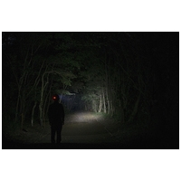 スタンダードLEDヘッドライト HLP-2501_選択画像04