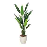 人工樹木フレッシュトラベラーズP 2314A320