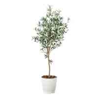 人工樹木 オリーブツリー1.6 2022P335