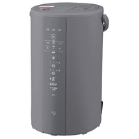 スチーム式加湿器 4L 480mL/h EE-DF50-HA