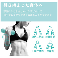 スリムダンベル 1.0kg HCF-DBS10BUL_選択画像02