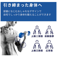 スリムダンベル 2.0kg HCF-DBS20BU_選択画像02