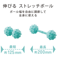 ストレッチボール ソフト HCK-PBTRSBUL_選択画像02