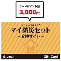 【ギフト】マイ防災セット3000P/25個組_選択画像02