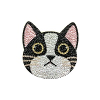 ダイヤモンドフィックス ハチワレ