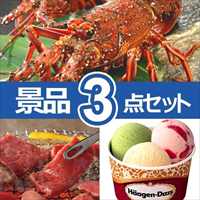 A3パネル送料込セット/天然伊勢海老含む3点