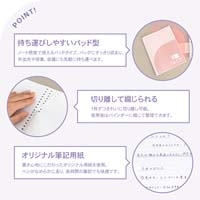 パペルール B5 LLパッドA罫_選択画像03