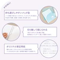 パペルール B5 LLパッドB罫_選択画像03