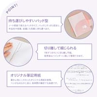 パペルール A5 LLパッドA罫_選択画像03