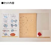 クリアでんでんだいこ_選択画像02