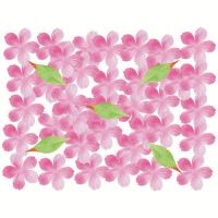 桜50枚セット SPST0038