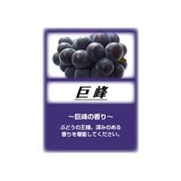 アサヒ入浴剤　巨峰　2.5kg_選択画像02