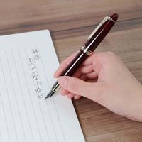 プロフィットカジュアルL クリア赤 細字_選択画像04