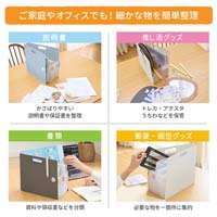 こまごまファイルＡ４ WH TF-A4#50_選択画像02
