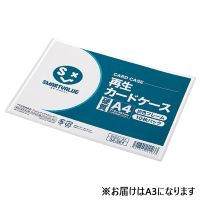 再生カードケース硬質A3*10枚 D061J-A3
