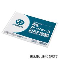 再生カードケース硬質B4*10枚 D063J-B4