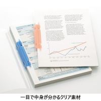 ルーパーファイル F-3006-5P A4S 乳白 5冊_選択画像02