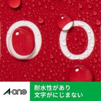 屋外用サインラベルA4 31034 光沢白10枚_選択画像04