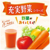 ※充実野菜 緑黄色野菜ミックス200mL 24本_選択画像02