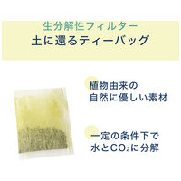※ワンポット緑茶ティーバッグ50P10袋_選択画像03