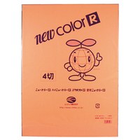 蛍光ニューカラー 4ツ切10枚 オレンジ#2002