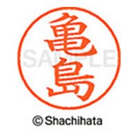 ネーム９　ＸＬ－９　０７７８　亀島_選択画像02
