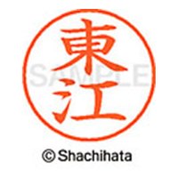 ネーム９　ＸＬ－９　２０１０　東江_選択画像02