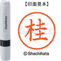 ネーム６　ＸＬ－６　０７２５　桂