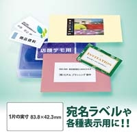 レーザーラベル LT-513T A4/12面 100枚_選択画像03