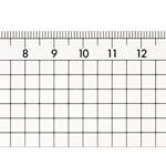 方眼直定規 30cm×3mm厚 透明_選択画像03