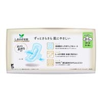 ◆ロリエしあわせ素肌多い昼用羽付20コ 18P_選択画像03