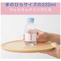 ※エビアン PET 220mL 24本2箱_選択画像02