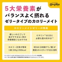 ※カロリーメイトゼリ アップル味 215g 6本_選択画像03