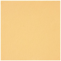 フェルト 20cm角 10枚 No331 クリーム