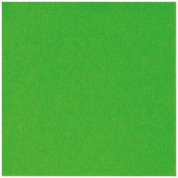 フェルト 20cm角 10枚 No453 若草