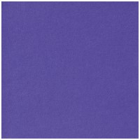 フェルト 20cm角 10枚 No663 藤