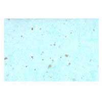 レーヨン雲龍紙金箔 6色計7枚_選択画像03