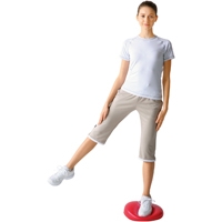 バランスディスク DK380 193851_選択画像03