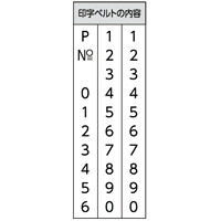 ページナンバースタンプGNR-32G/H ゴシック_選択画像03